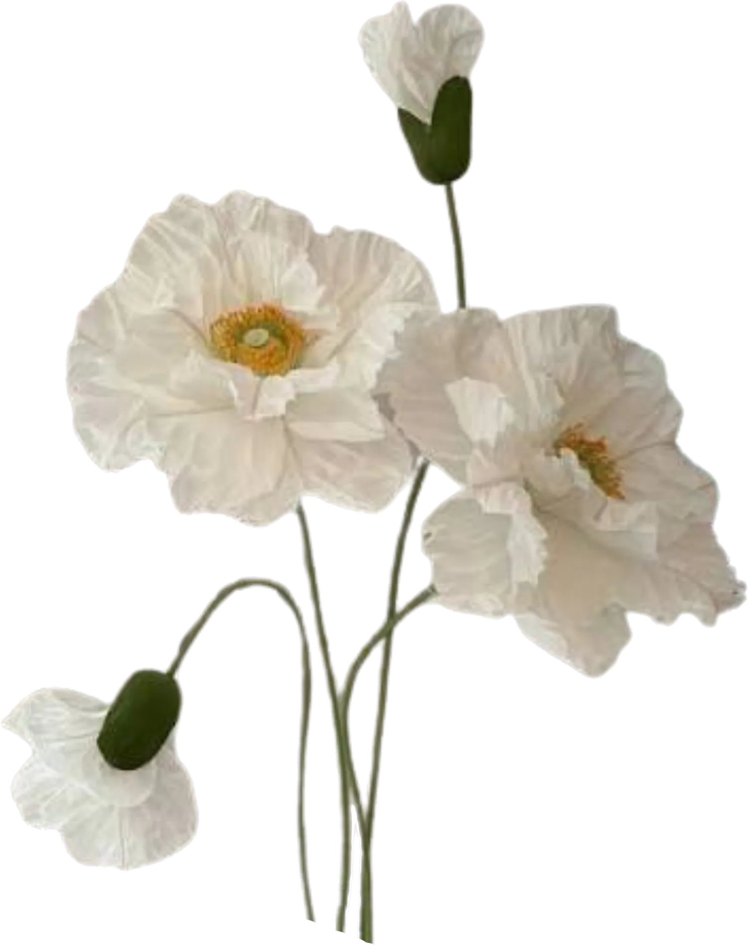 Garden of Giving Gala illustration