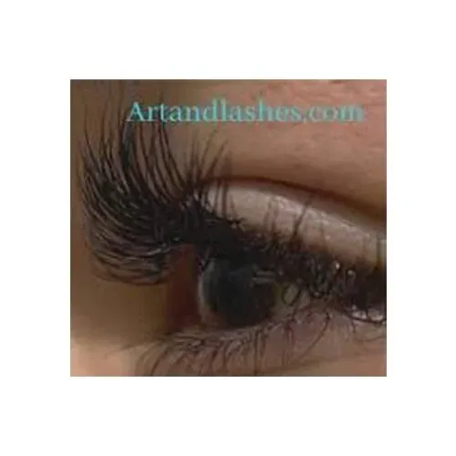 Art & Lashes